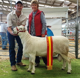 Premier P16A117 ET $7,000 "Collaroy" D O'Neill