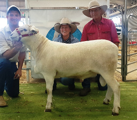 16A441 ET $6,000 "Kelly's Run"